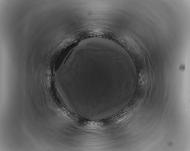 X0000099300223200805231349