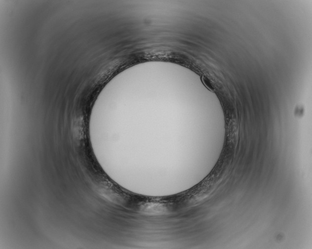 X0000099300224200805231349