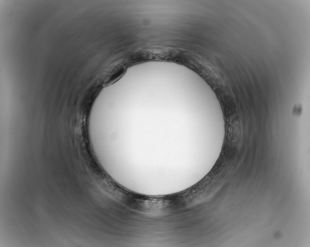 X0000099300225200805231349