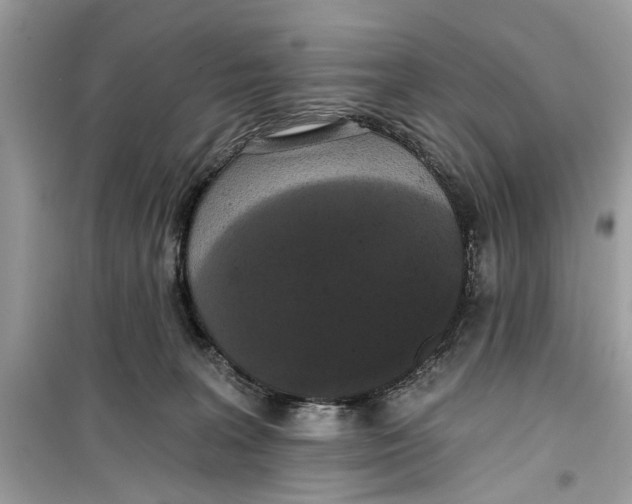 X0000099300227200805231349