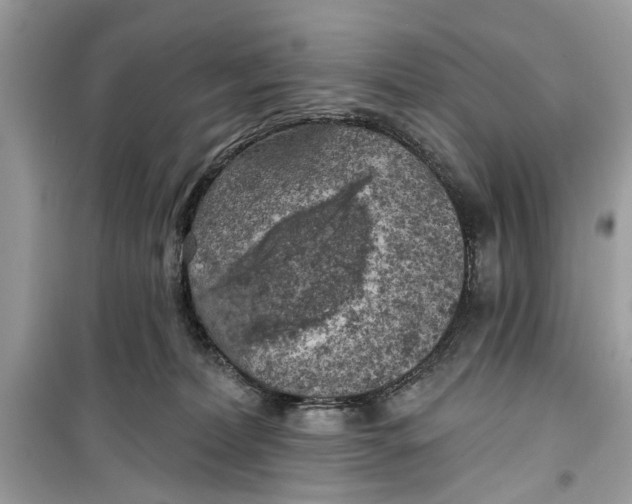 X0000099300228200805231349