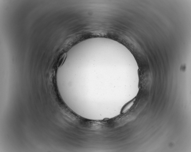 X0000099300229200805231349