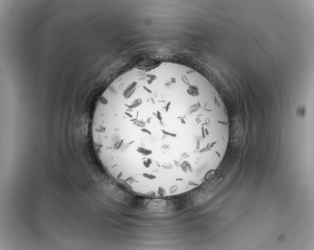 X0000099300230200805231349