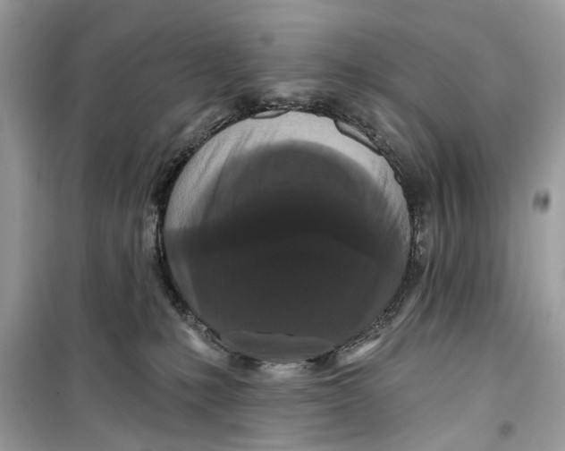 X0000099300231200805231349