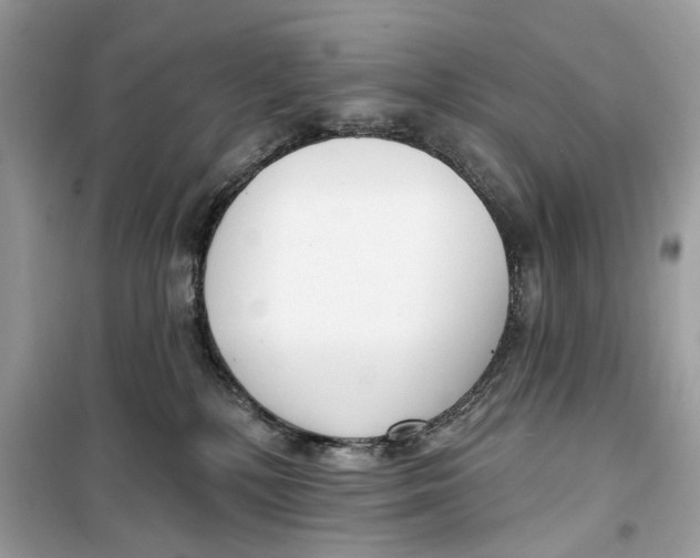 X0000099300232200805231349