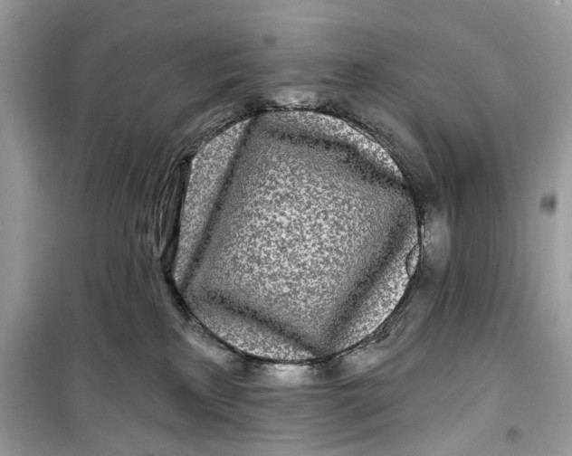 X0000099300233200805231349