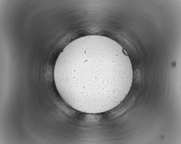 X0000099300234200805231349