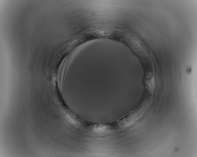 X0000099300235200805231349