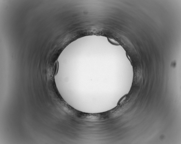 X0000099300236200805231349