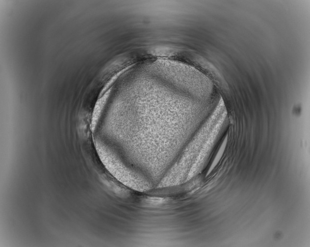 X0000099300237200805231349