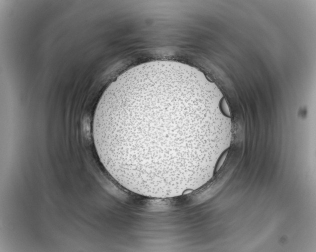 X0000099300238200805231349