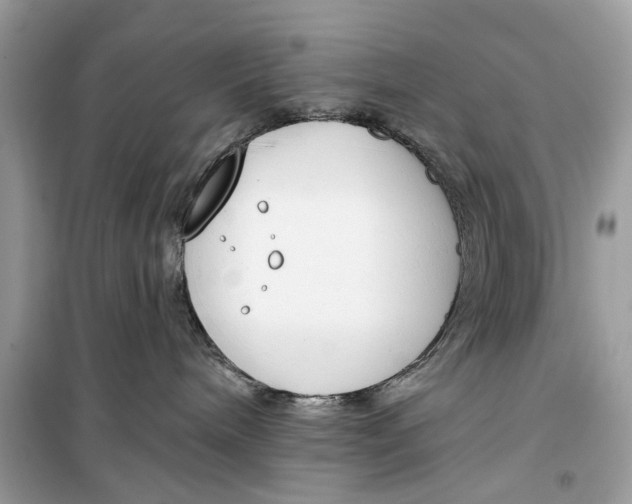 X0000099300240200805231349