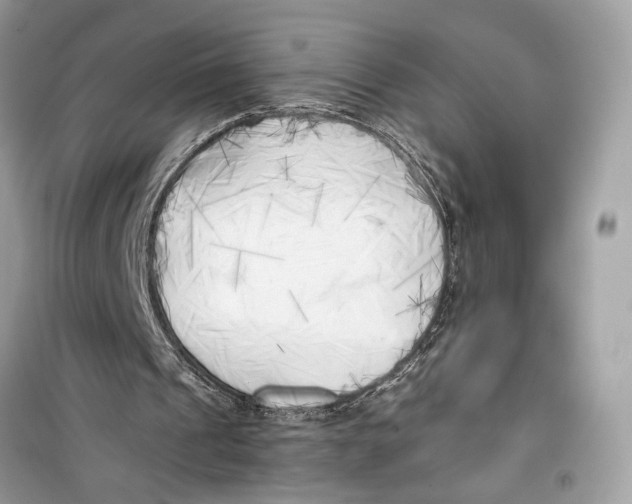 X0000099300241200805231348