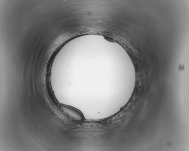 X0000099300242200805231348