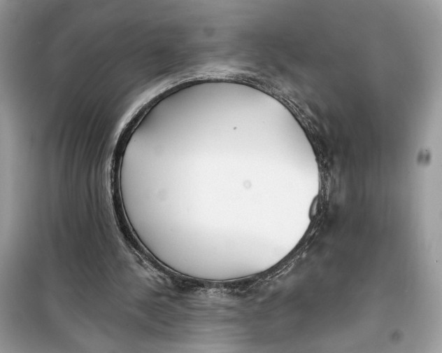 X0000099300244200805231348