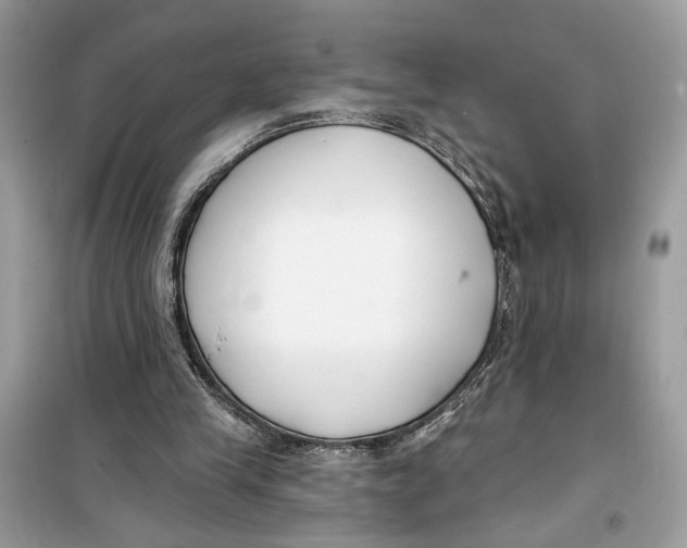 X0000099300245200805231348