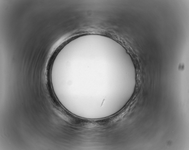 X0000099300246200805231348