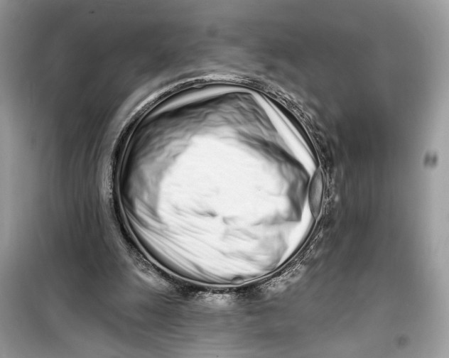 X0000099300247200805231348