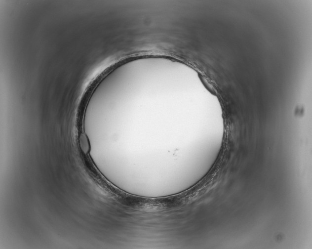 X0000099300248200805231348