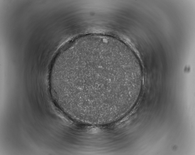 X0000099300249200805231348