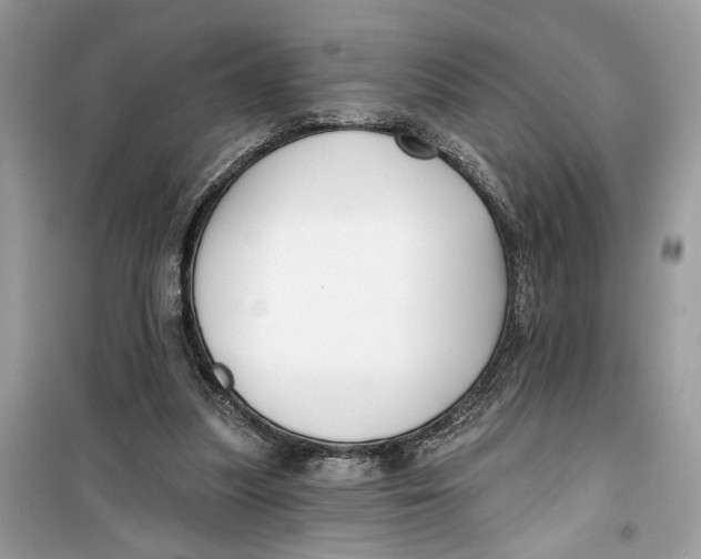 X0000099300251200805231348