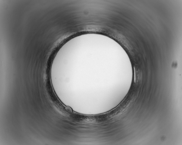 X0000099300252200805231348