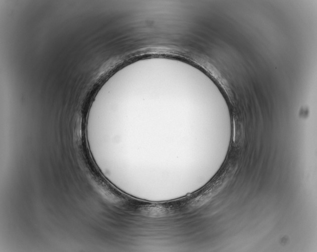 X0000099300253200805231348