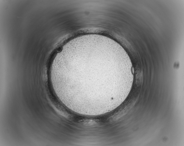 X0000099300254200805231348