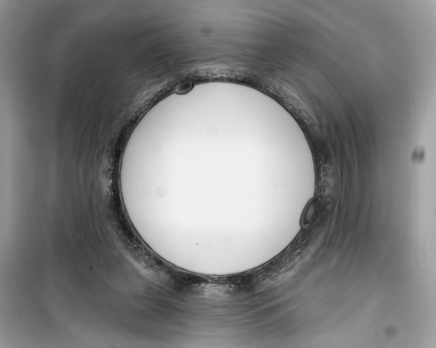 X0000099300255200805231348