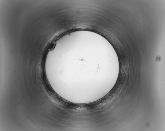 X0000099300256200805231348