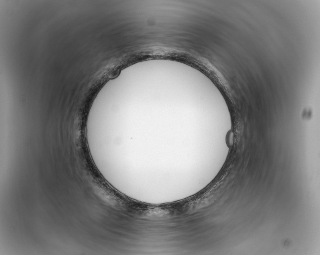 X0000099300257200805231348