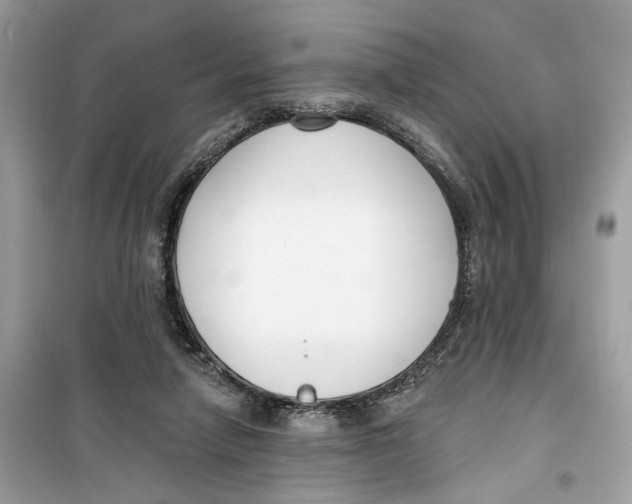 X0000099300258200805231348