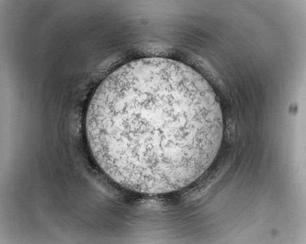 X0000099300259200805231348