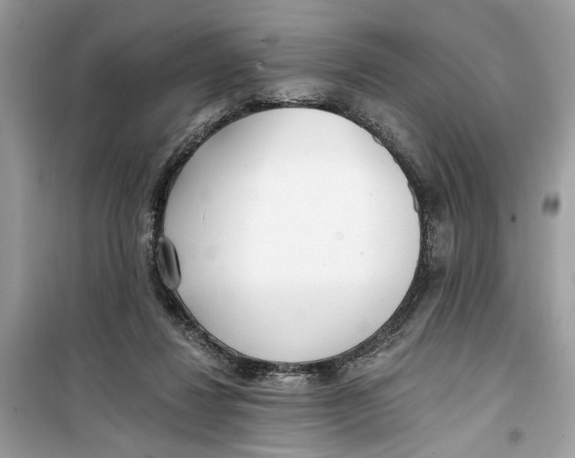 X0000099300260200805231348