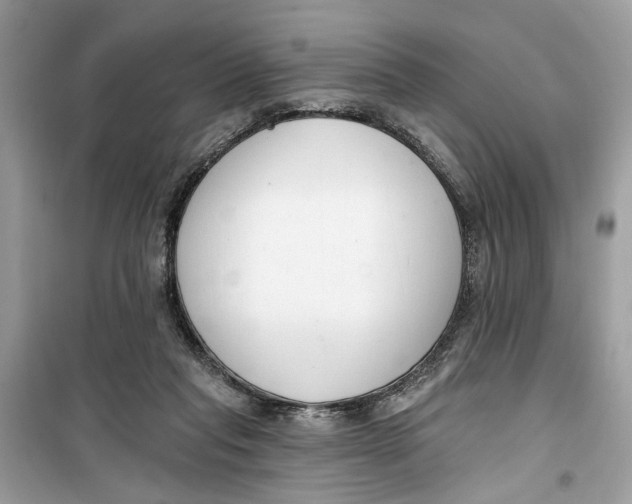 X0000099300261200805231348