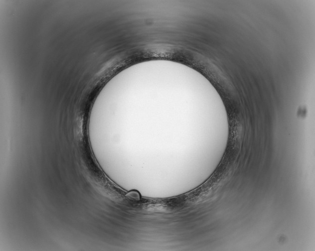 X0000099300262200805231348