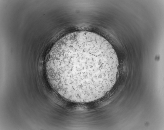 X0000099300263200805231348