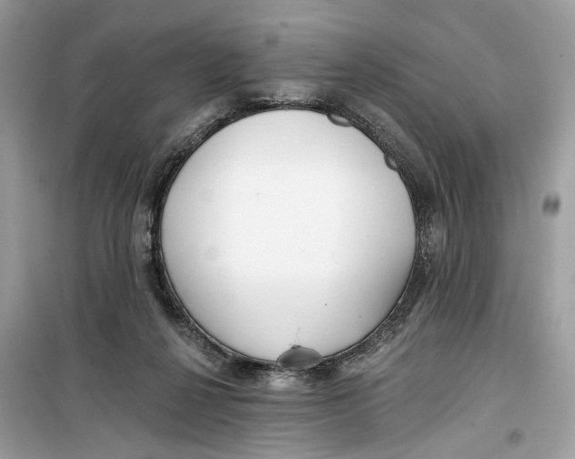 X0000099300264200805231348