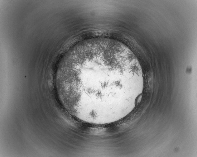 X0000099300266200805231348