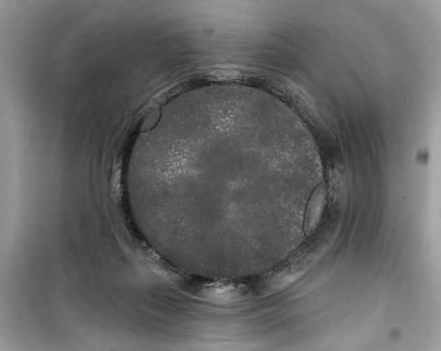 X0000099300267200805231348