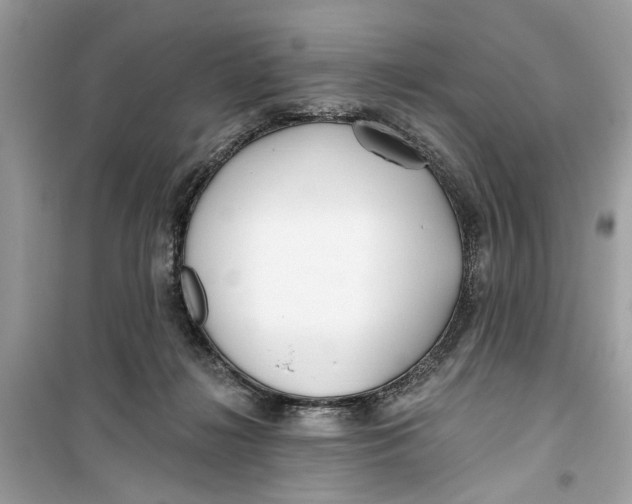 X0000099300268200805231348