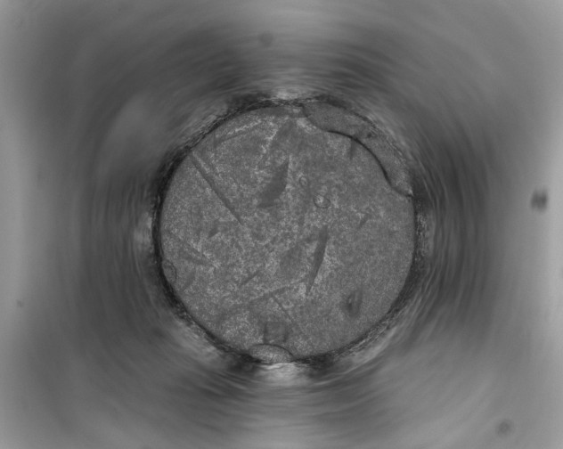 X0000099300269200805231348