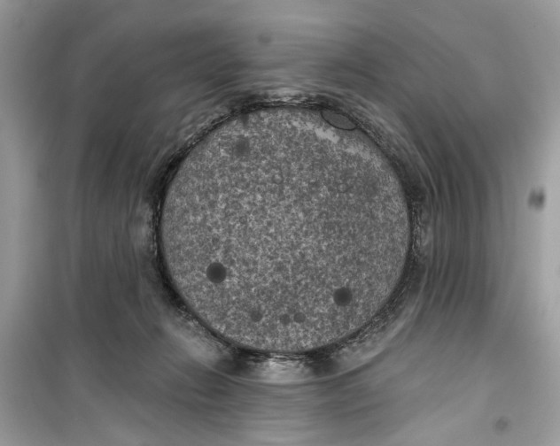 X0000099300270200805231348