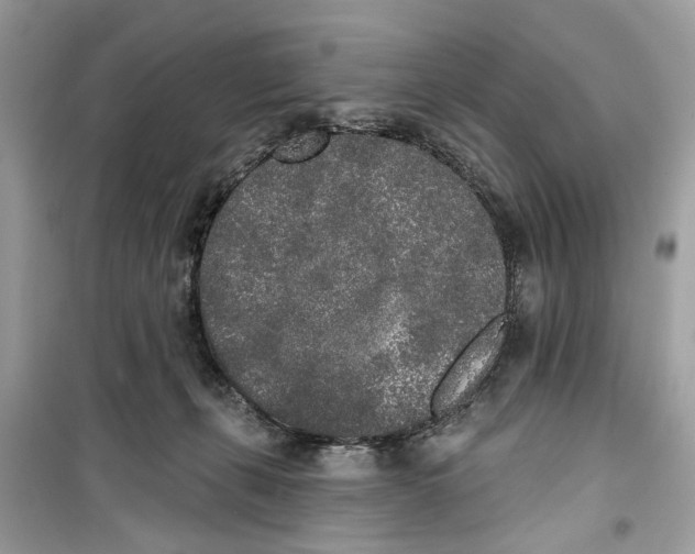 X0000099300271200805231348