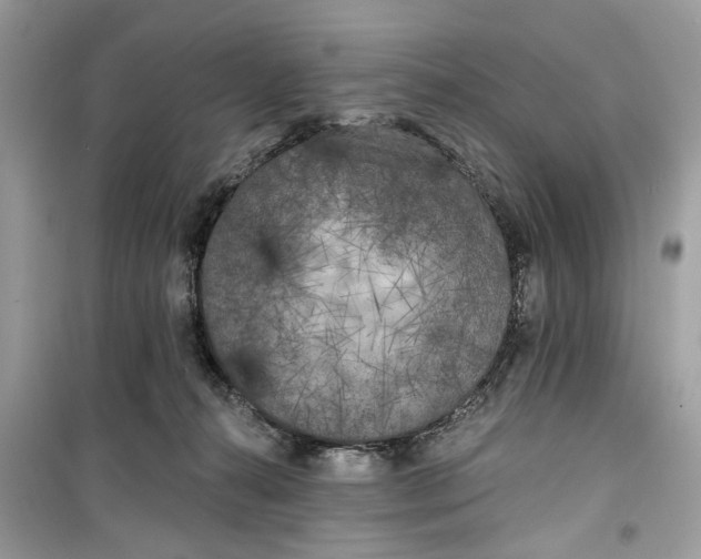 X0000099300272200805231348