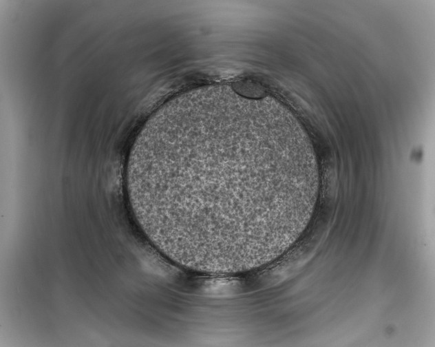 X0000099300274200805231348