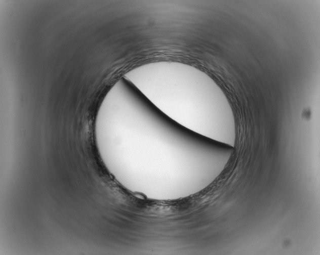 X0000099300276200805231348