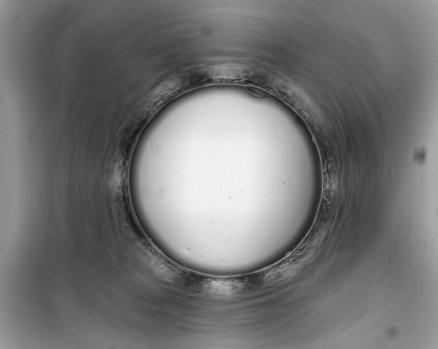 X0000099300277200805231348