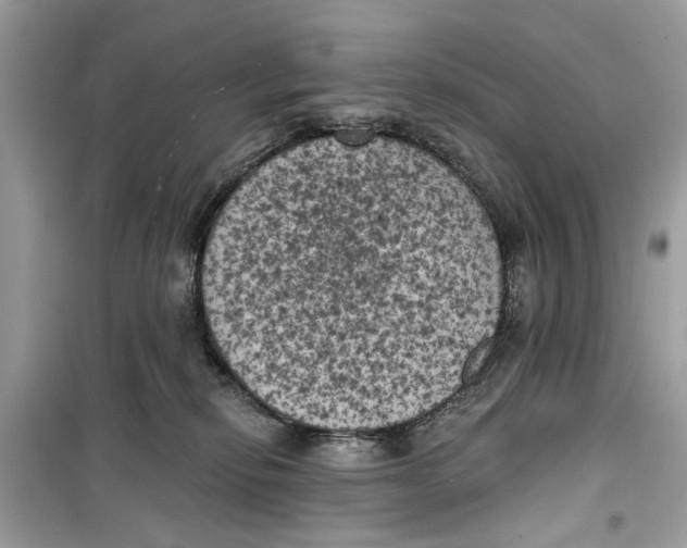 X0000099300278200805231348