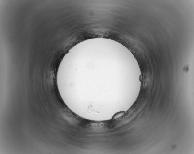 X0000099300279200805231348